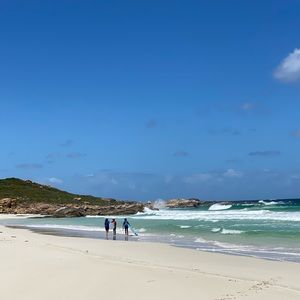 Meet your Posher, Stella